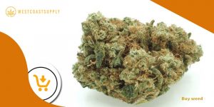 Home 125 buy weed